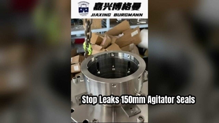 Solusi Kinerja Tinggi Segel Mekanis Agitator 150mm